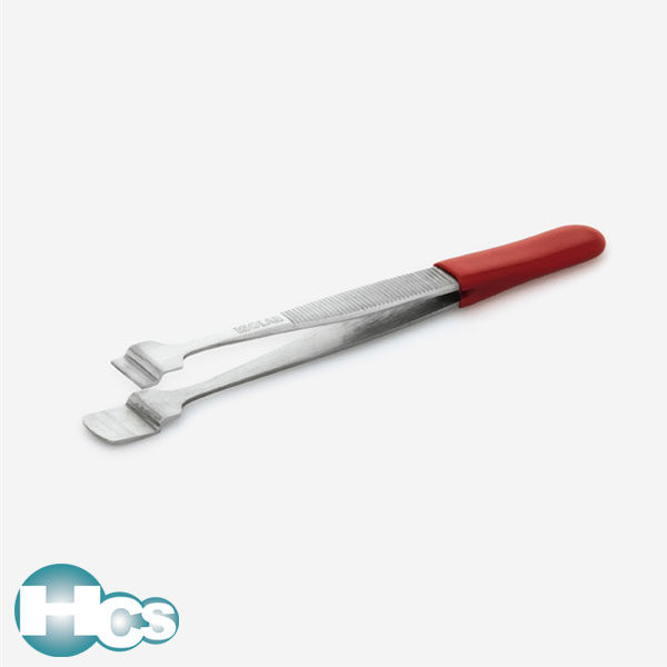 Isolab Forcep for filter paper